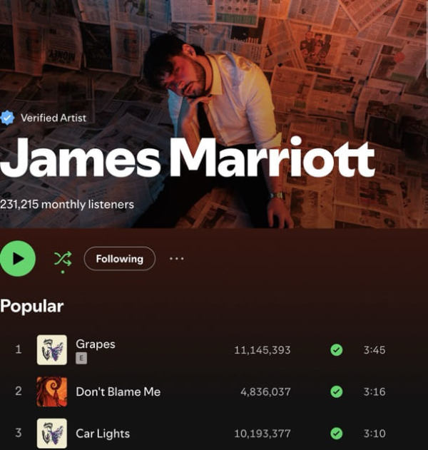 Spotify Profile 